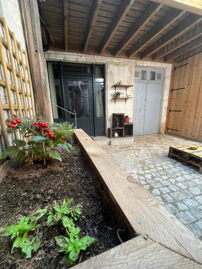 La Cour Chartraine - Cosy Appartement Avec Cour Exterieur A Блуа Экстерьер фото